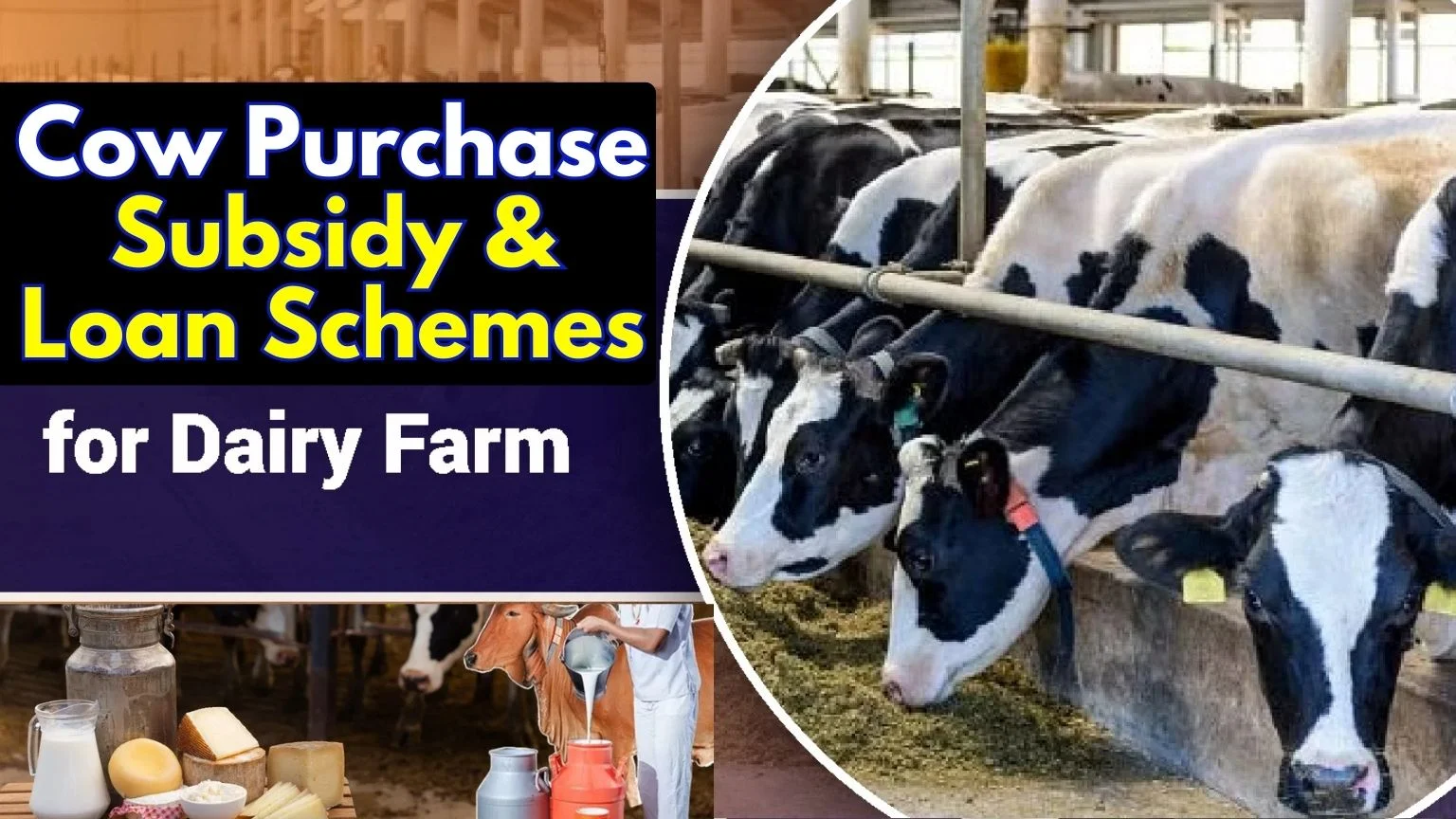 Cow Purchase Subsidy & Loan Schemes