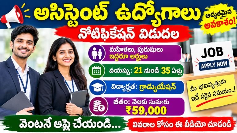 Assistant Jobs Recruitment 2026